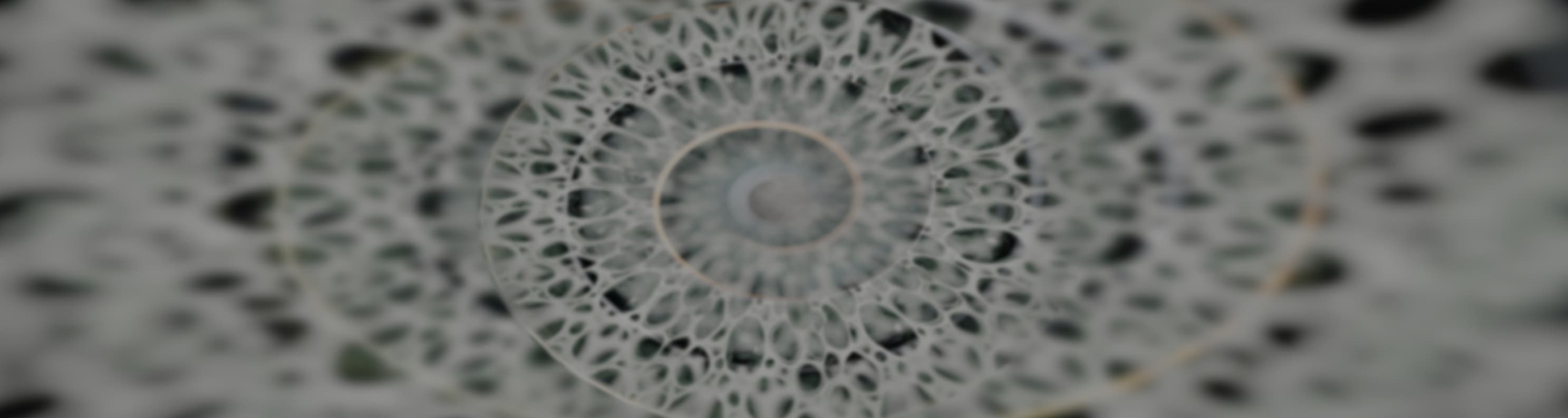 blog-banner