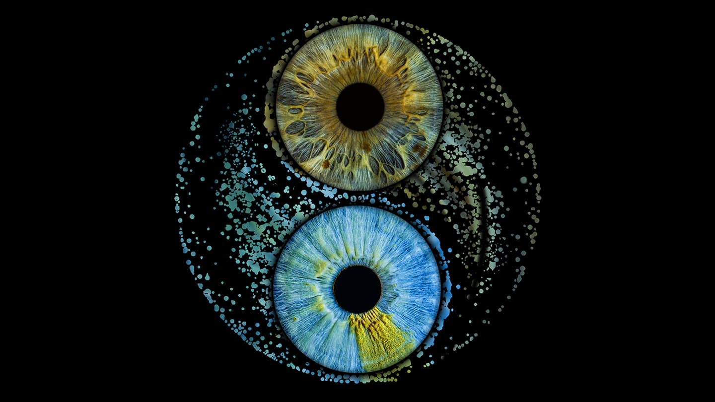 Couple Ying-Yang Effect